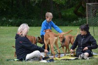 /album/http-www-adopcechrtu-eu/a19225646-1435006996538617-7351023503732743153-n-jpg/