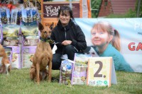 /album/http-www-adopcechrtu-eu/a19388778-1251560531636394-3414810040115195212-o-jpg/